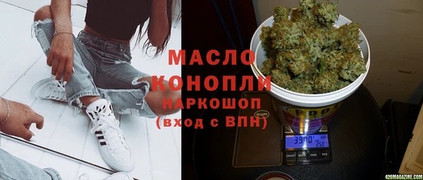стаф Алексин
