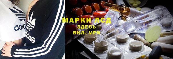стаф Алексин