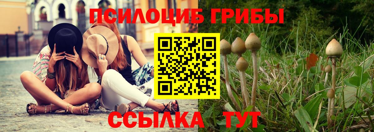 Псилоцибиновые грибы мицелий  Псилоцибиновые грибы мухоморы  Вход с VPN  Углич 