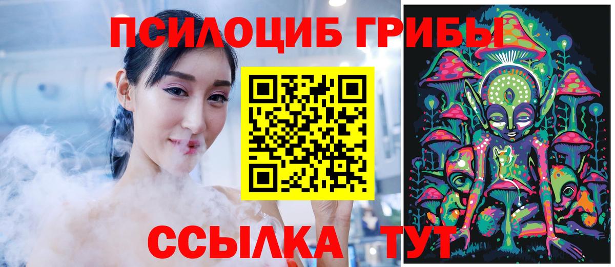 Псилоцибиновые грибы GOLDEN TEACHER Углич