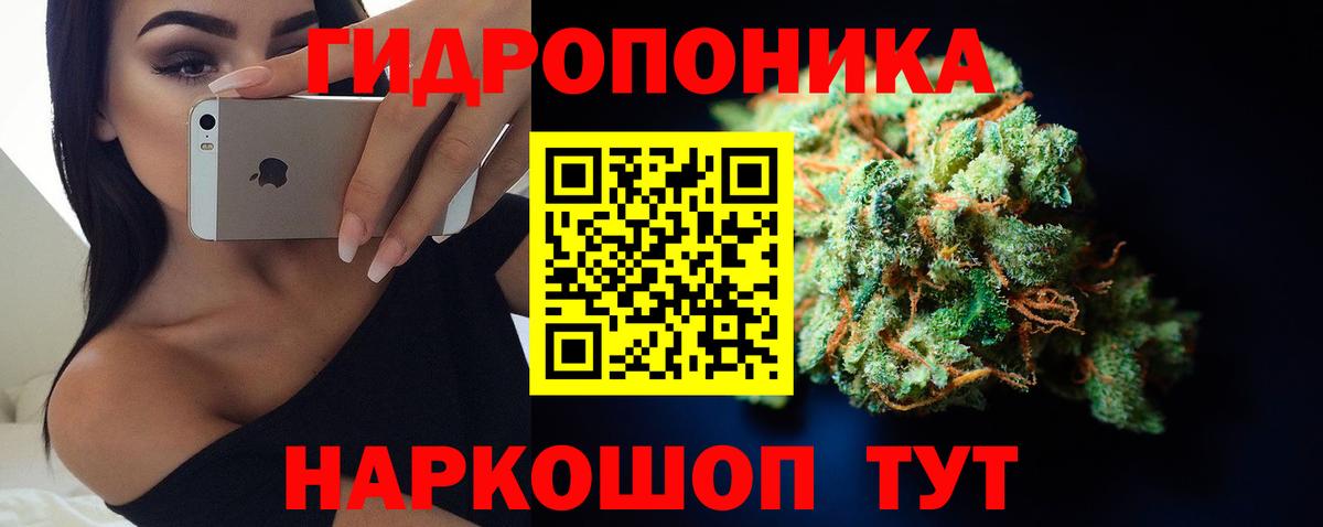 Шишки марихуана сатива Углич