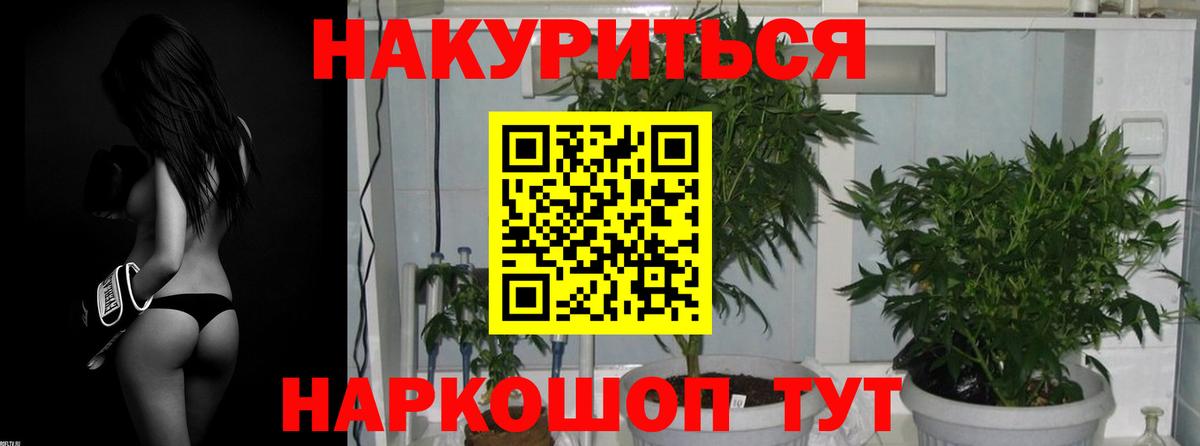 Углич  МАРИХУАНА семена  Марихуана Ganja  Вход с VPN  Канабис MAZAR 